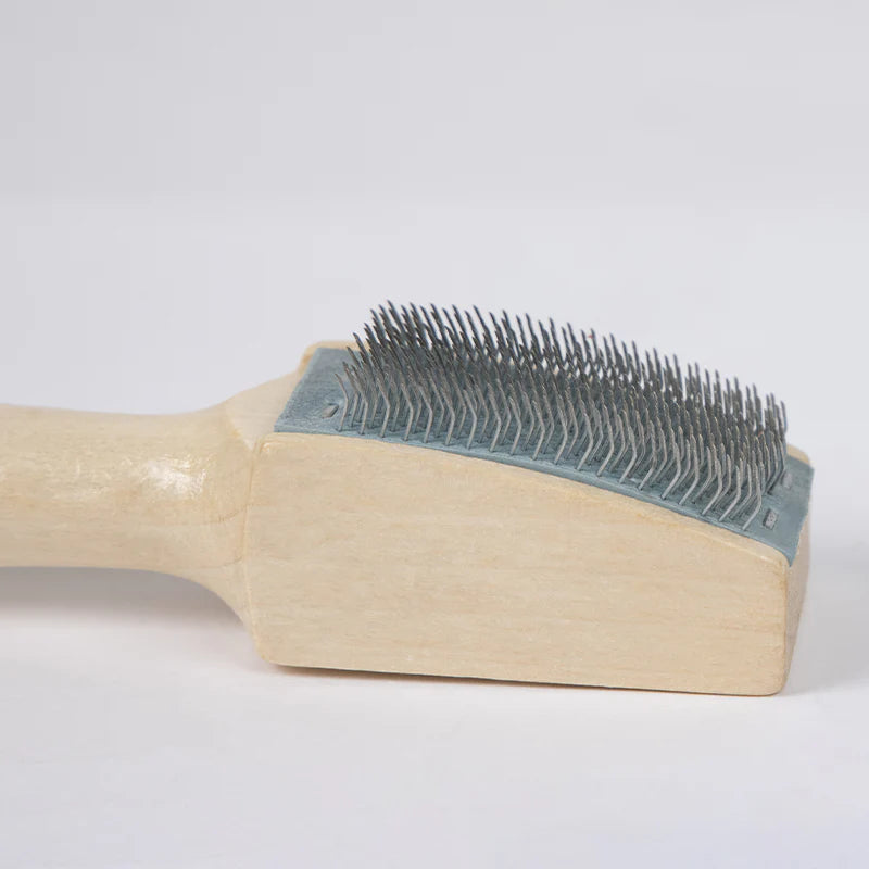 BD Shoe Brush