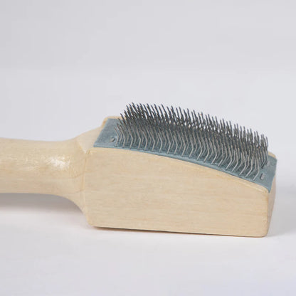 BD Shoe Brush