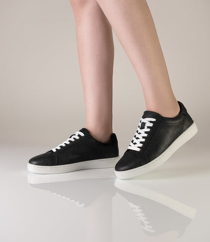 Werner Kern Suny 7005 through 7030