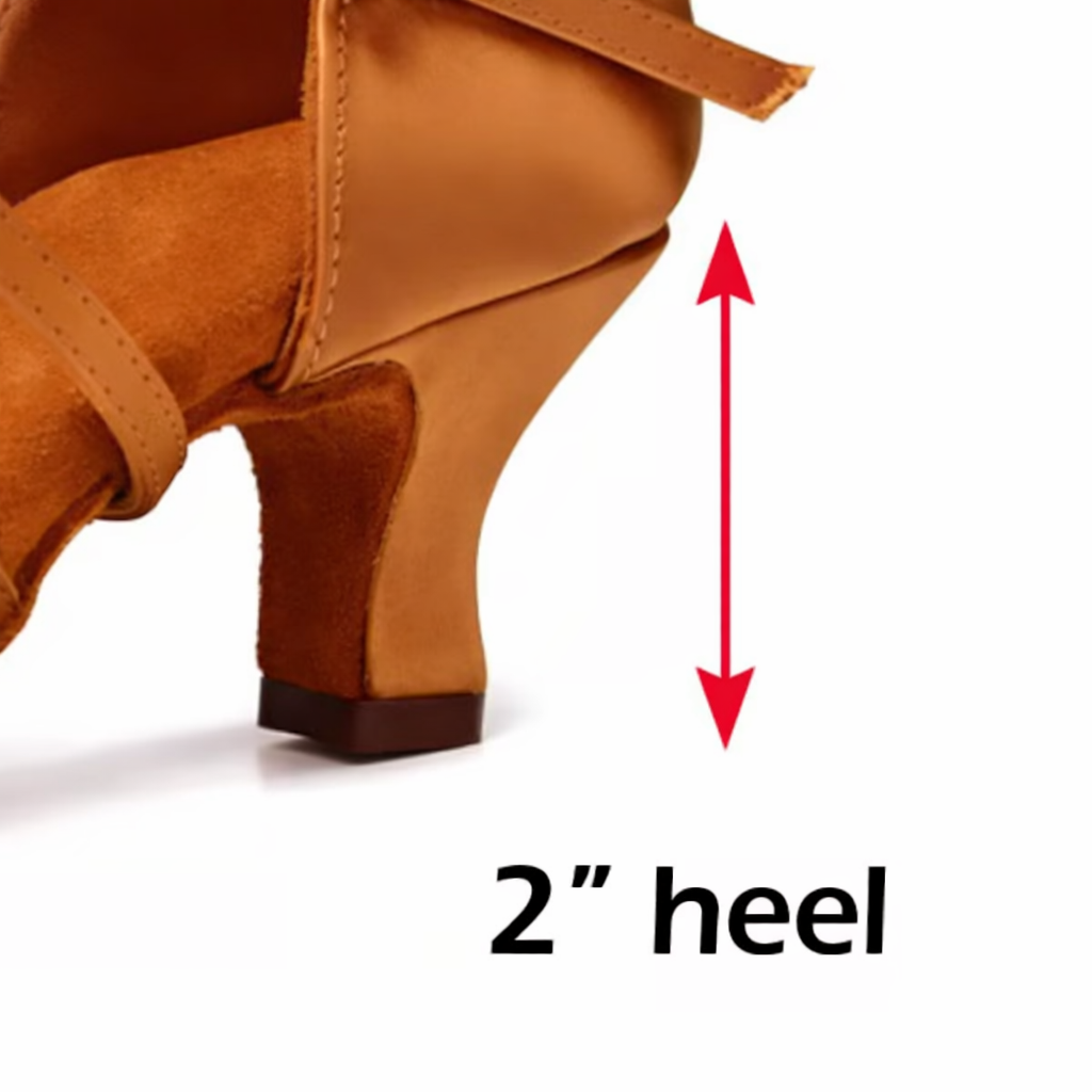 Pure Sole Salsa Shoes BCS 2012