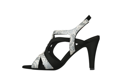 Dance Naturals 86 Bussola